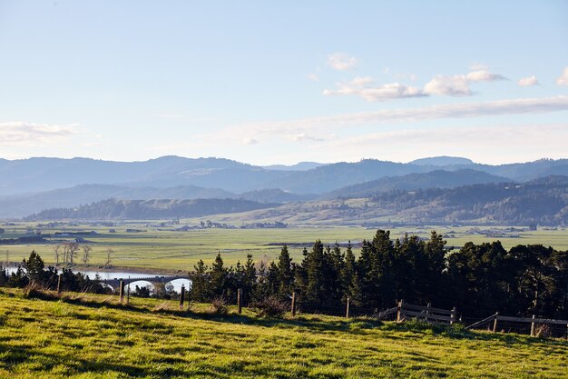 カリフォルニア州フンボルト郡ユーレカ近郊の農地の早朝の風景