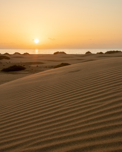 Foto gratuita alba di primo mattino tra le dune di maspalomas