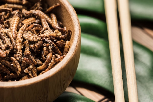 Earthworms in a bowl next to chopsticks close up