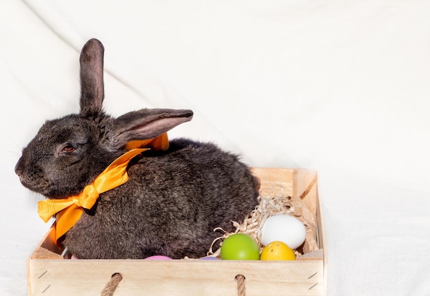 Easter brown rabbit with brown eyes in a wooden white basket with a colorful ribbon and Easter eggs