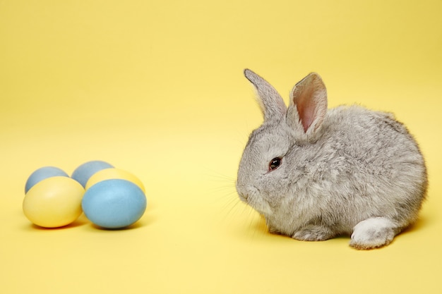 黄色の背景に塗られた卵を持つイースターのウサギ。イースターホリデーのコンセプト。