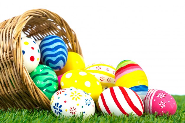 Easter Eggs on Fresh Green Grass over white background