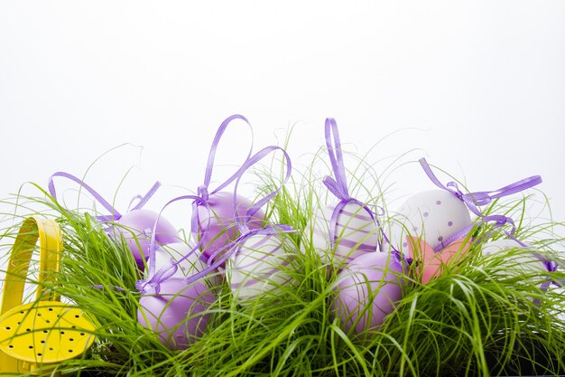 Easter eggs on grass