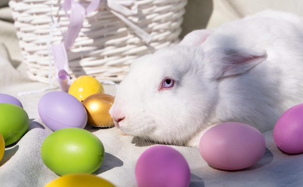 Free photo easter white rabbit with blue eyes in a wooden basket with a colorful ribbon and easter eggs