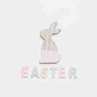 Free photo easter word and painted bunny figurine