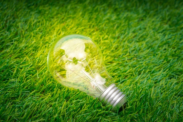 Eco concept - light bulb grow in the grass