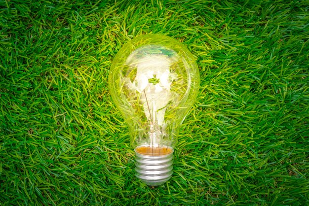 Eco concept - light bulb grow in the grass