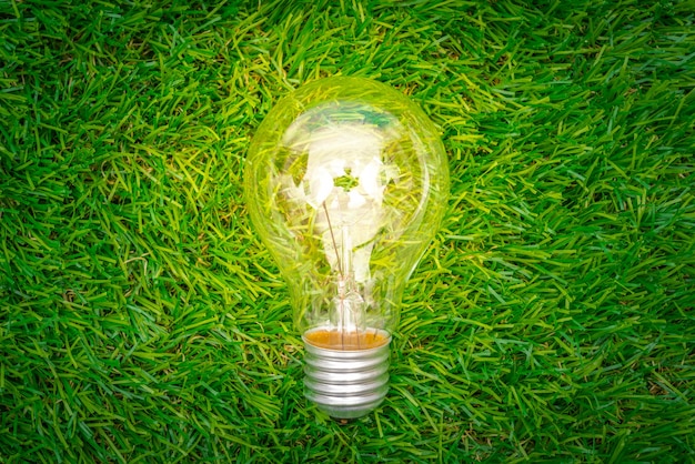 エコのコンセプト - 電球は、草の中に育ちます