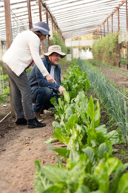 Eco-friendly couple checking the green plants