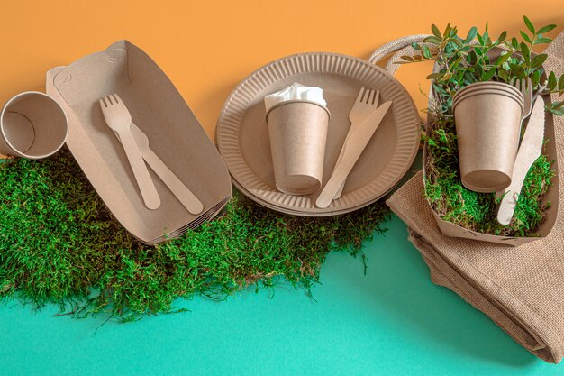 Eco-friendly, disposable, recyclable tableware on a colored background .