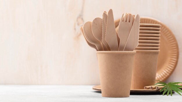 Eco friendly disposable tableware cardboard front view