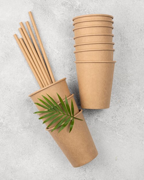 Eco friendly disposable tableware top view