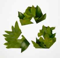 Foto gratuita concetto di riciclaggio ecologico