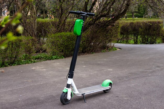 咲くマグノリアのそばに立っている公園のエコグリーンとブラックの電気グリーンエネルギースクーター