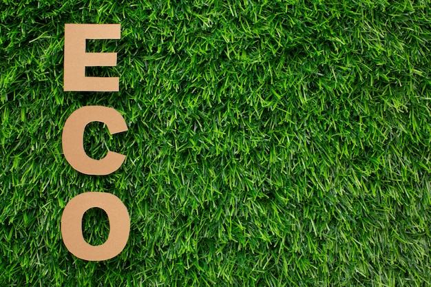 Free photo eco word in grass with copy-space