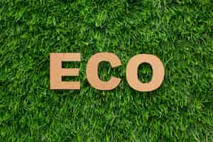 Free photo eco word in grass