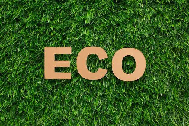 Eco word in grass