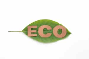 Free photo eco word on leaf