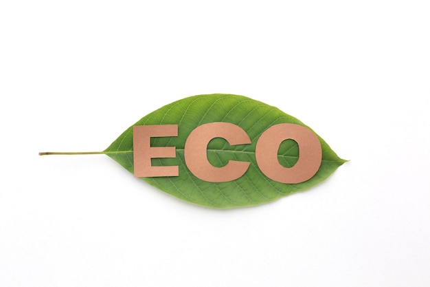 Eco word on leaf