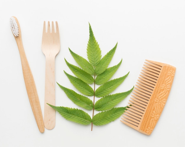 Ecology comb and tooth brush