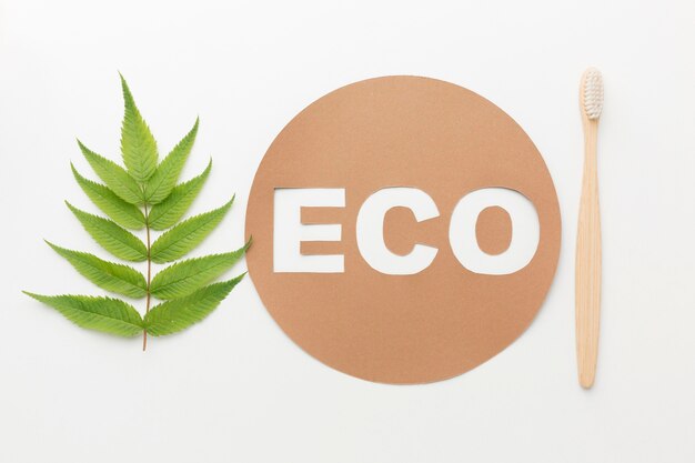 Ecology toothbrush