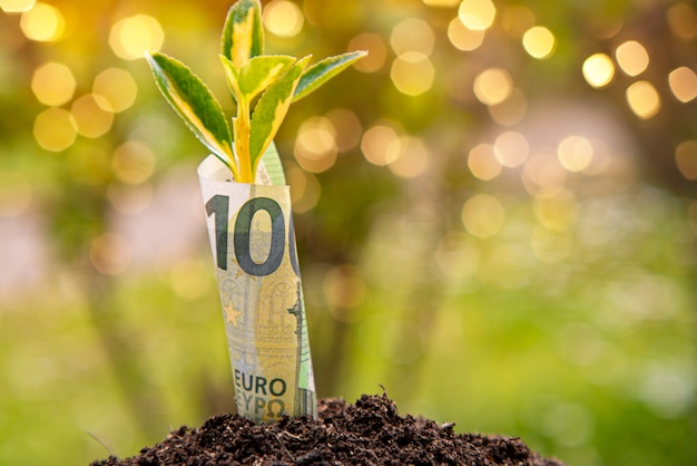 経済成長のシンボル：緑のぼやけた背景で地球から成長している植物または葉を持つ100ユーロ紙幣 Premium写真