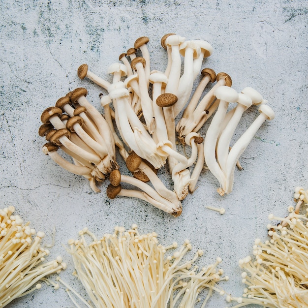 Edible mushrooms arrange on floor