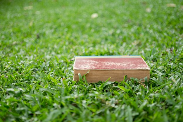 Education concept - Books lying on grass