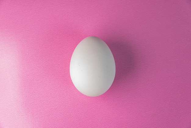 Egg on the pink background