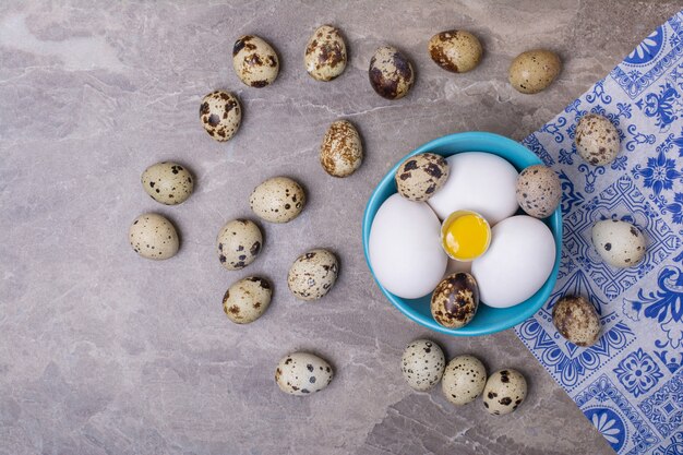 Egg varieties in a blue cup and on ground.