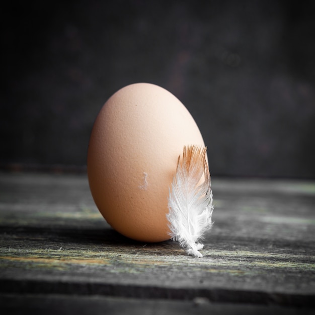 Egg with feather side view on a dark wooden background
