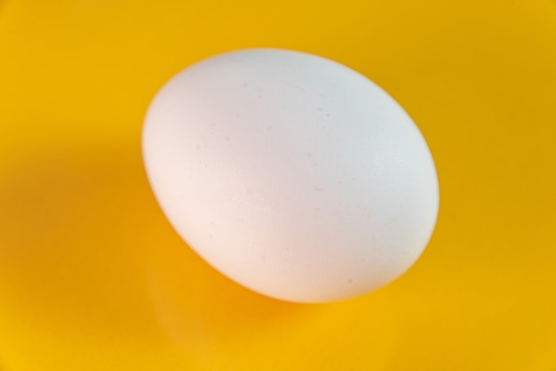 Free photo egg on the yellow background