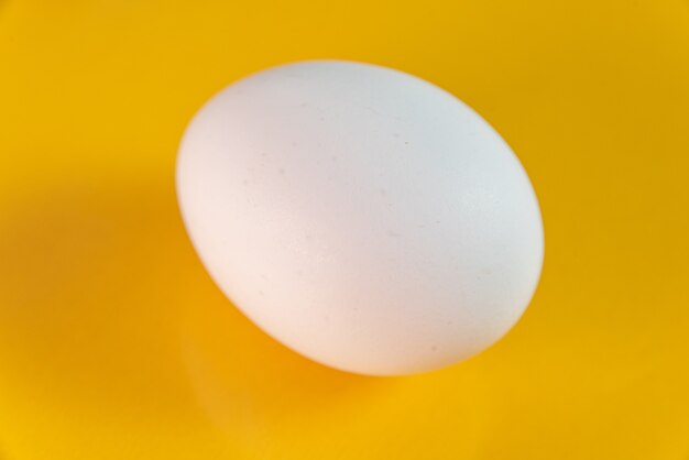 黄色の背景に卵