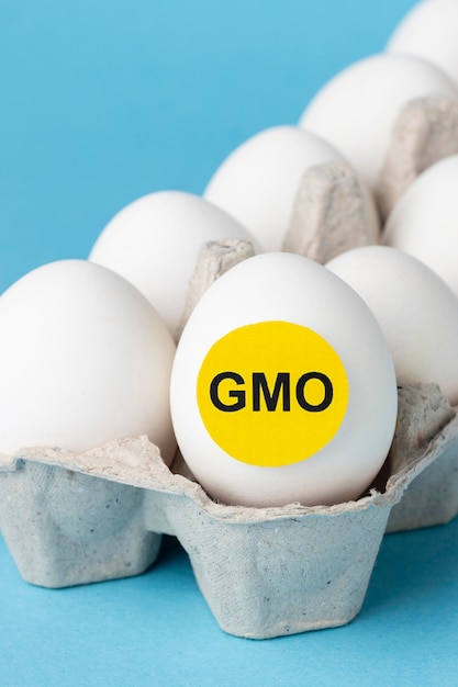Free photo eggs gmo chemical modified food