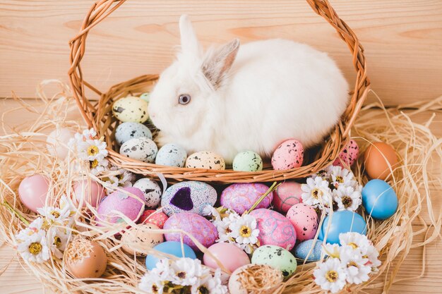 Eggs and hay near basket with rabbit