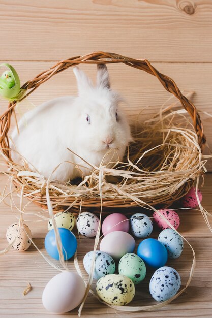 Eggs near rabbit in basket