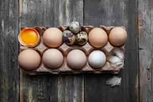Free photo eggs with small ones top view on a dark wooden background