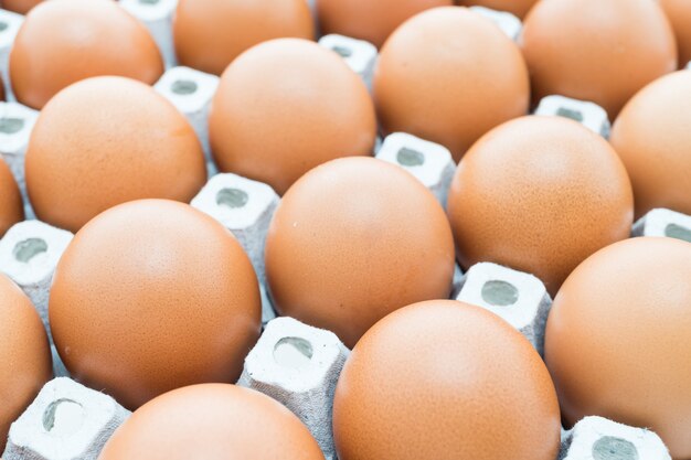 Eggs