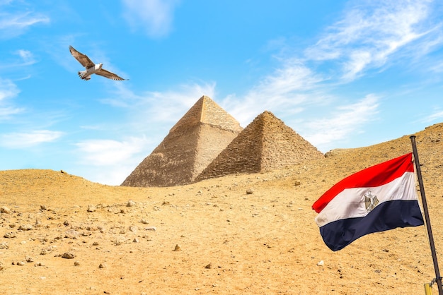 Египетский флаг возле пирамид в пустыне гизы, каир