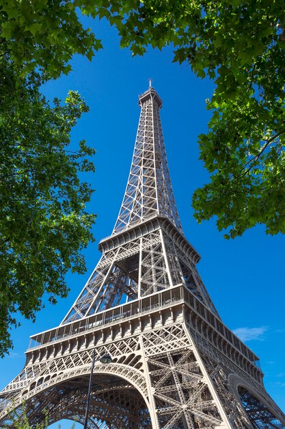 Эйфелева башня с деревом в голубом небе, Париж.