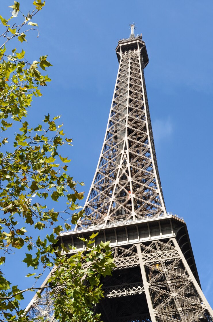 Free Photo eiffel tower with leaves in front