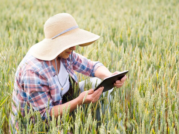 Elder woman sitting on a wheat field while holding a tablet