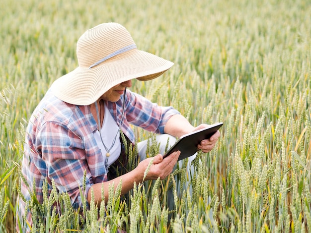 Elder woman sitting on a wheat field while holding a tablet