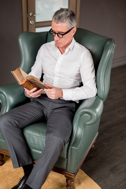 高齢者のビジネスマン、肘掛け椅子に読書