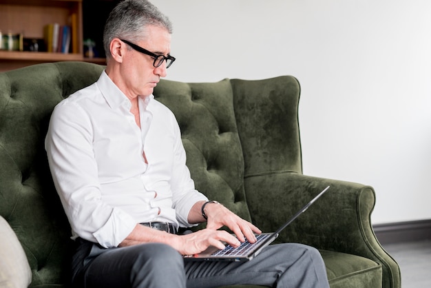 Elderly businessman with laptop