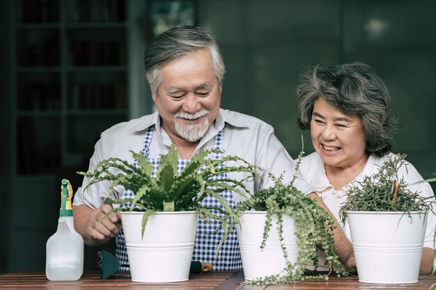 年配のカップルが一緒に話すことと鉢に木を植えること。