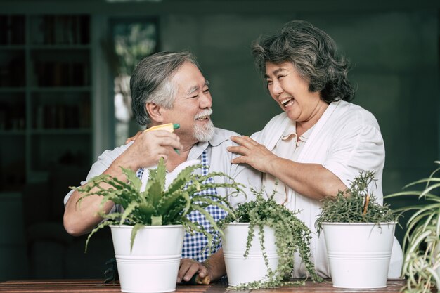 年配のカップルが一緒に話すことと鉢に木を植えること。