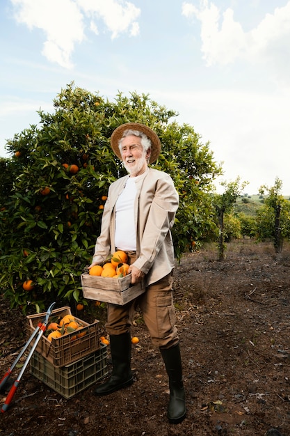 Free photo elderly man with fresh oranges