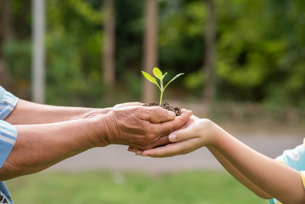 Elderly person and children holding plant Free Photo