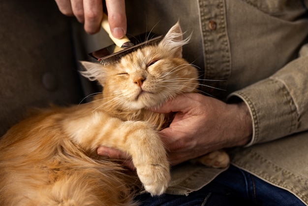 Free photo elderly person with pet cat